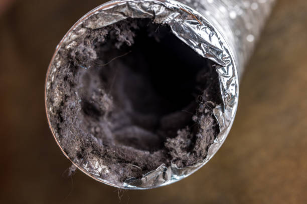 Best HVAC Air Duct Cleaning  in Indio, CA